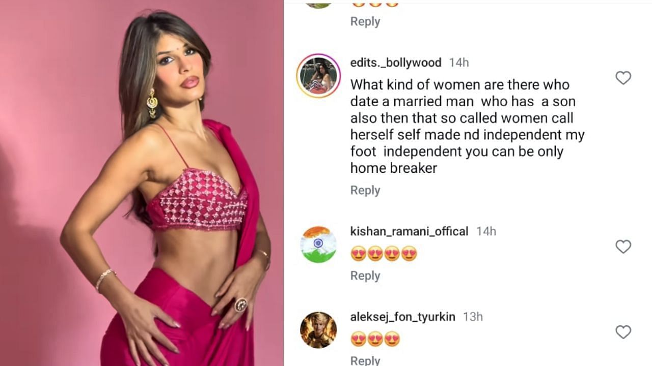 फैन का कमेंट (photo credit: instagram/jasminwalia)